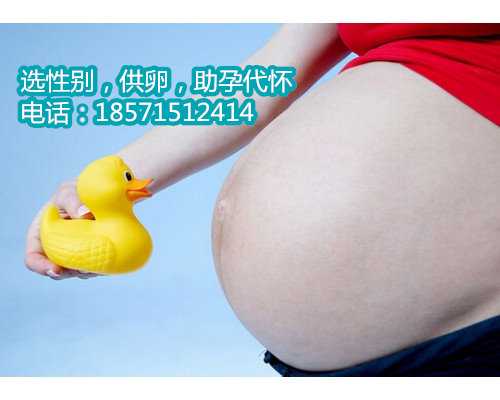 上海地下供卵市场让不孕不育夫妻摆脱生育困境