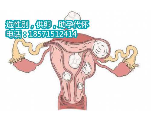 浙江私人爱心助孕机构不孕不育的救星——试管婴儿技术
