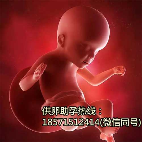 安徽有在代孕,全国供卵试管医院排名前十的医院有哪些？附医院清单